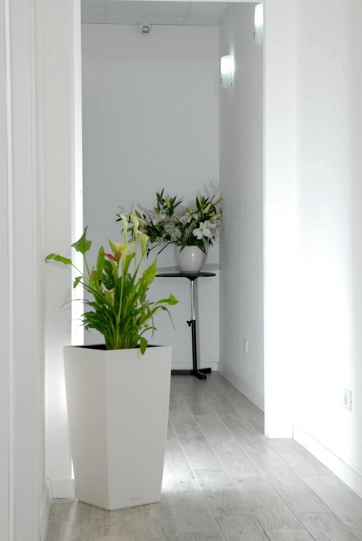 Gardenia Suite Roma Eksteriør bilde
